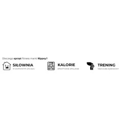 TRENAŻER ELIPTYCZNY ROWER TRENINGOWY ORBITREK MAGNETYCZNY FLEX BLACK
