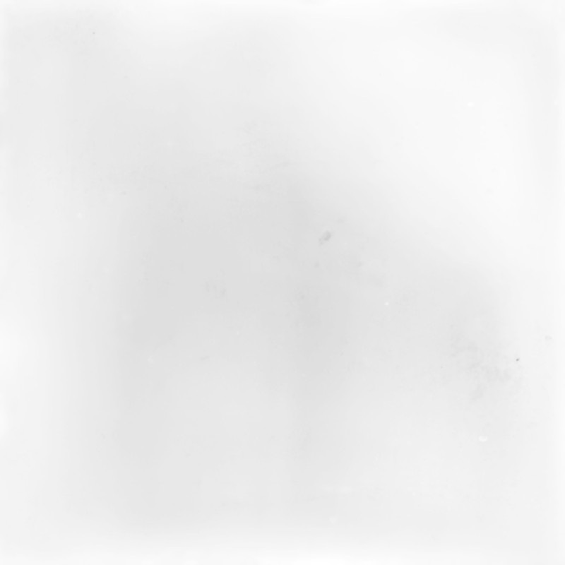 MUD PURE WHITE MUD WOW Płytka Gresowa 117383 MUD PURE WHITE MUD WOW Płytka Gresowa 117383