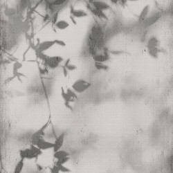 ART WALLS SHADOW NAT R120X280 FLAVIKER Płytka gresowa