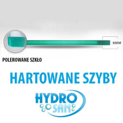 DRZWI PRYSZNICOWE KZ09A CZARNE 95-100 CM 8 MM KZ09A-BL-100