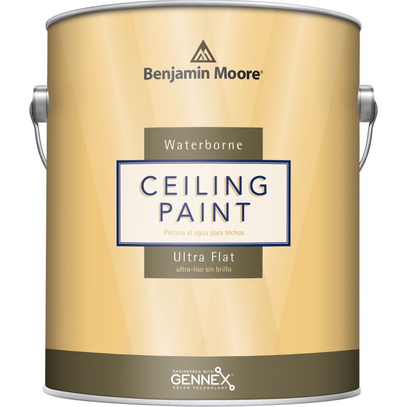 Ceiling_Paint_Interior_Ultra_Flat_508_gal.jpg