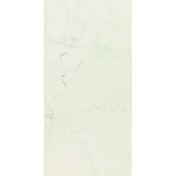 Allmarble Altissimo Lux 60X120 Rett.