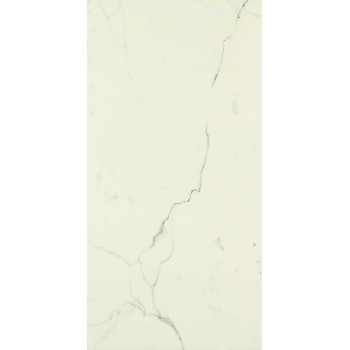 Allmarble Statuario Silk 60X120 Rett.