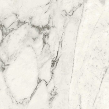 Allmarble Calacatta Extra 60X60 Rett.