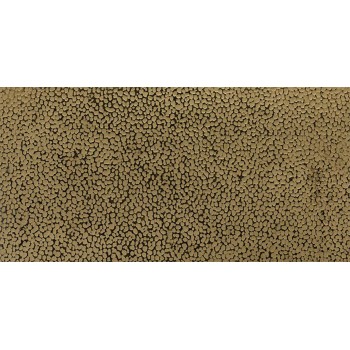 ALCHEMY 7.0 GOLD HAMMERED 29,75X59,55 cm Płytka Ceramiczna gres APAVISA