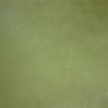 ANARCHY GREEN NATURAL 59,55X59,55 cm Płytka Ceramiczna gres APAVISA