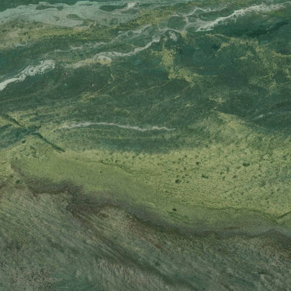 AQUARELA GREEN NATURAL 59,55X59,55 cm Płytka Ceramiczna gres APAVISA AQUARELA GREEN NATURAL 59,55X59,55 cm Płytka Ceramiczna gres APAVISA