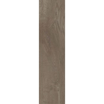 ARCO BROWN NATURAL 24,75X99,55 cm Płytka Ceramiczna gres APAVISA