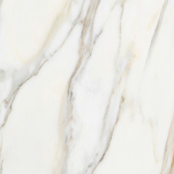 BORGHINI WHITE PULIDO 59,55X59,55 cm Płytka Ceramiczna gres APAVISA