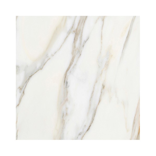 BORGHINI WHITE PULIDO 59,55X59,55 cm Płytka Ceramiczna gres APAVISA BORGHINI WHITE PULIDO 59,55X59,55 cm Płytka Ceramiczna gres APAVISA