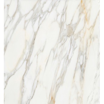 BORGHINI WHITE POLISHED 119,3X119,3 cm Płytka Ceramiczna gres APAVISA