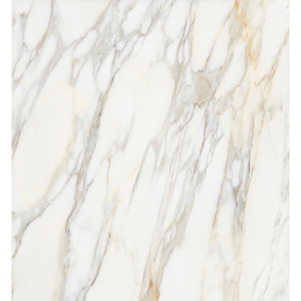 BORGHINI WHITE POLISHED 119,3X119,3 cm Płytka Ceramiczna gres APAVISA BORGHINI WHITE POLISHED 119,3X119,3 cm Płytka Ceramiczna gres APAVISA