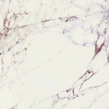 CALACATTA VIOLA POLISHED 99,55X99,55 cm Płytka Ceramiczna gres APAVISA