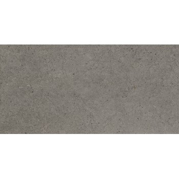 CONCEPT ANTHRA SOLID 2 CM 49,75X99,55 cm Płytka Ceramiczna gres APAVISA