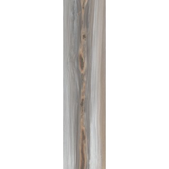 ECHO ASH NATURAL 24,75X99,55 cm Płytka Ceramiczna gres APAVISA