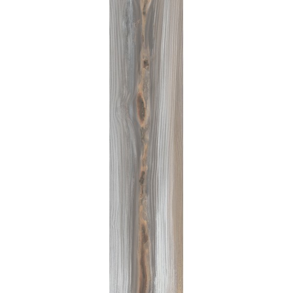 ECHO ASH NATURAL 24,75X99,55 cm Płytka Ceramiczna gres APAVISA ECHO ASH NATURAL 24,75X99,55 cm Płytka Ceramiczna gres APAVISA