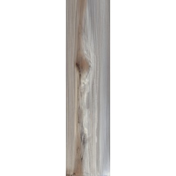 ECHO ASH NONSLIP 24,75X99,55 cm Płytka Ceramiczna gres APAVISA