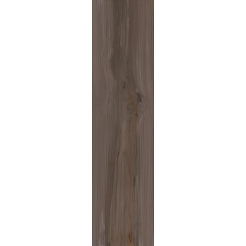 ECHO BROWN NATURAL 24,75X99,55 cm Płytka Ceramiczna gres APAVISA