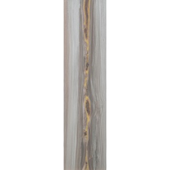 ECHO GOLD NATURAL 24,75X99,55 cm Płytka Ceramiczna gres APAVISA