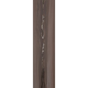 ECHO SILVER NATURAL 24,75X99,55 cm Płytka Ceramiczna gres APAVISA