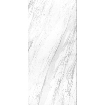 ELEGANCE WHITE POL BL-A 119,3X260 cm Płytka Ceramiczna gres APAVISA