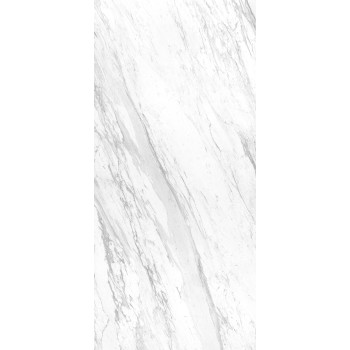 ELEGANCE WHITE POL BL-B 119,3X260 cm Płytka Ceramiczna gres APAVISA