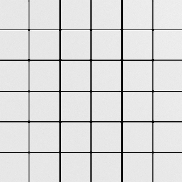 FANTASY WHITE NAT MOS 5X5 29,75X29,75/ cm Płytka Ceramiczna gres APAVISA FANTASY WHITE NAT MOS 5X5 29,75X29,75/ cm Płytka Ceramiczna gres APAVISA