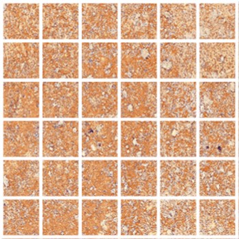 FIRE BEIGE NAT MOS 5X5 29,75X29,75/ cm Płytka Ceramiczna gres APAVISA