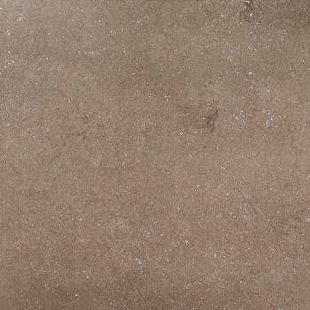 ERGO MUSGO LAPPATO 44,63X44,63 cm Płytka Ceramiczna gres APAVISA
