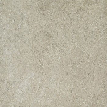 FOSSIL GRIS NATURAL 44,63X44,63 cm Płytka Ceramiczna gres APAVISA