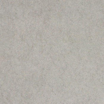 CITY GRIS NATURAL 44,63X44,63 cm Płytka Ceramiczna gres APAVISA