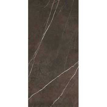 PIETRA GREY POLISHED 119,3X260 cm Płytka Ceramiczna gres APAVISA