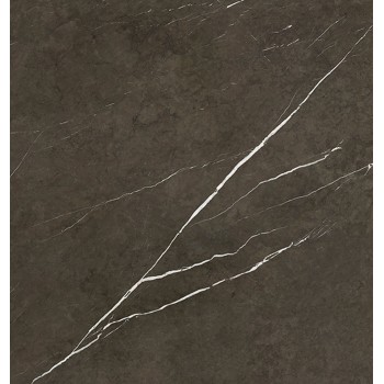 PIETRA GREY POLISHED 119,3X119,3 cm Płytka Ceramiczna gres APAVISA