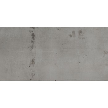 REGENERATION GREY NATURAL 29,75X59,55 cm Płytka Ceramiczna gres APAVISA