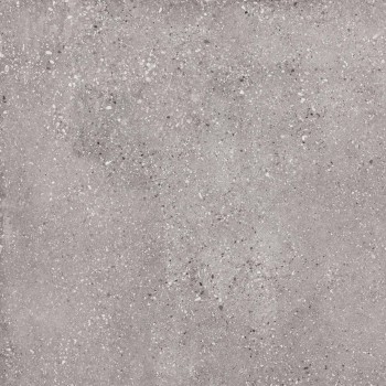 WIND GREY NATURAL 59,55X59,55 cm Płytka Ceramiczna gres APAVISA