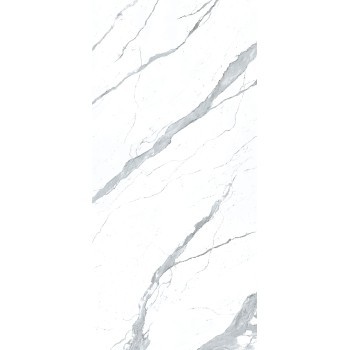 STATUARIO EXTRA WHITE POL MIX 119,3X260 cm Płytka Ceramiczna gres APAVISA