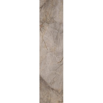 WILD FOREST GREY NAT MIX 59,55X260 cm Płytka Ceramiczna gres APAVISA
