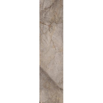 WILD FOREST GREY POL MIX 59,55X260 cm Płytka Ceramiczna gres APAVISA