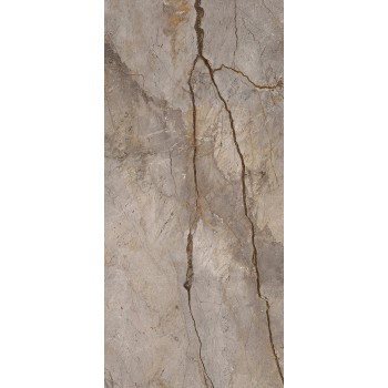 WILD FOREST GREY NAT MIX 119,3X260 cm Płytka Ceramiczna gres APAVISA