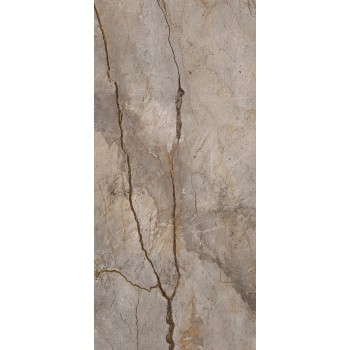 WILD FOREST GREY POL BL-B 119,3X260 cm Płytka Ceramiczna gres APAVISA