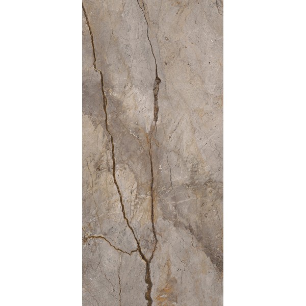 WILD FOREST GREY POL BL-B 119,3X260 cm Płytka Ceramiczna gres APAVISA WILD FOREST GREY POL BL-B 119,3X260 cm Płytka Ceramiczna gres APAVISA