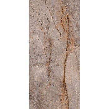 WILD FOREST GREY POL BL-C 119,3X260 cm Płytka Ceramiczna gres APAVISA