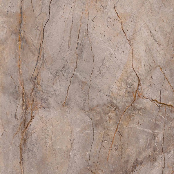 WILD FOREST GREY NAT MIX 119,3X119,3 cm Płytka Ceramiczna gres APAVISA WILD FOREST GREY NAT MIX 119,3X119,3 cm Płytka Ceramiczna gres APAVISA