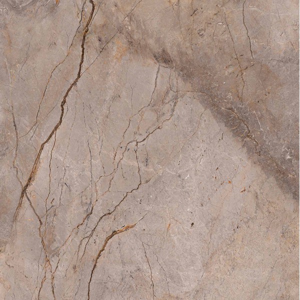 WILD FOREST GREY POL MIX 119,3X119,3 cm Płytka Ceramiczna gres APAVISA WILD FOREST GREY POL MIX 119,3X119,3 cm Płytka Ceramiczna gres APAVISA