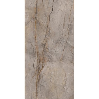 WILD FOREST GREY PULIDO 59,55X119,3 cm Płytka Ceramiczna gres APAVISA