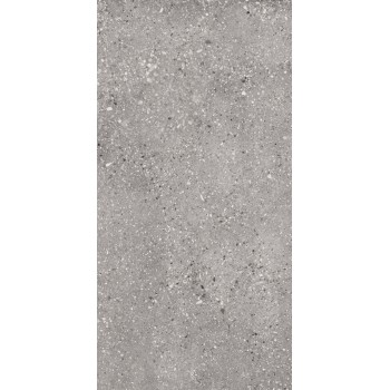 WIND GREY SOLID 2CM 49,75X99,55 cm Płytka Ceramiczna gres APAVISA
