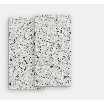 venice villa venice silver levigato 60X60 L66407 IRIS FMG