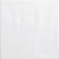 Płytka ceramiczna dekoracyjna Quintessenza GENESI26 bianco Matt 13.2x13.2 cm