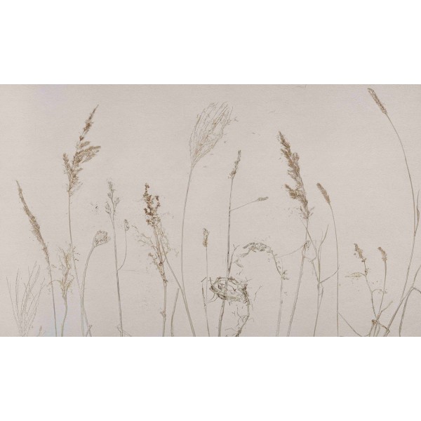 WALL ART Campo di Avena WALL ART Campo di Avena
