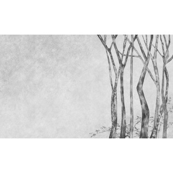Wall Art Orginals BETULLA 500x300cm